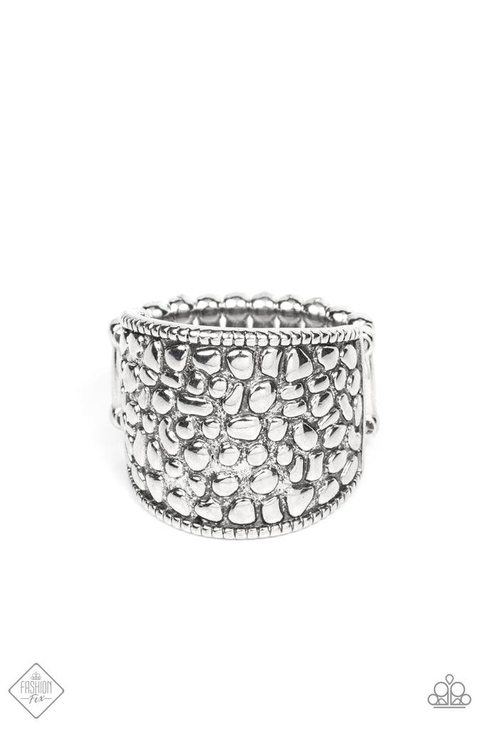 Dotted Decorum - Silver  Paparazzi Ring