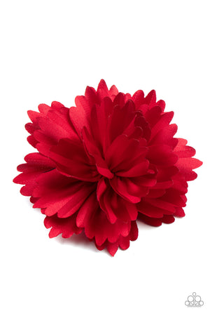 Hair Accessories