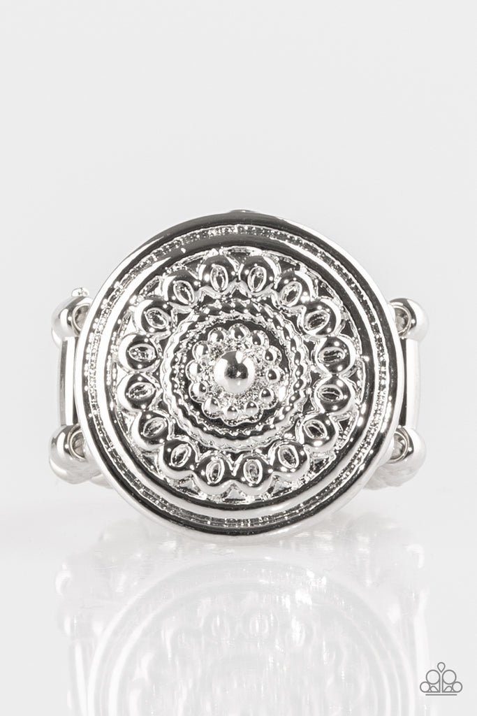 Seasonal Shine - Silver  Paparazzi Accessories